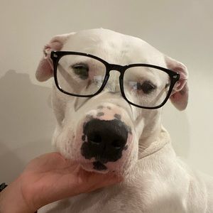 Meet your Posher, London